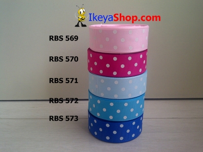 Pita RBS 569 573  large2